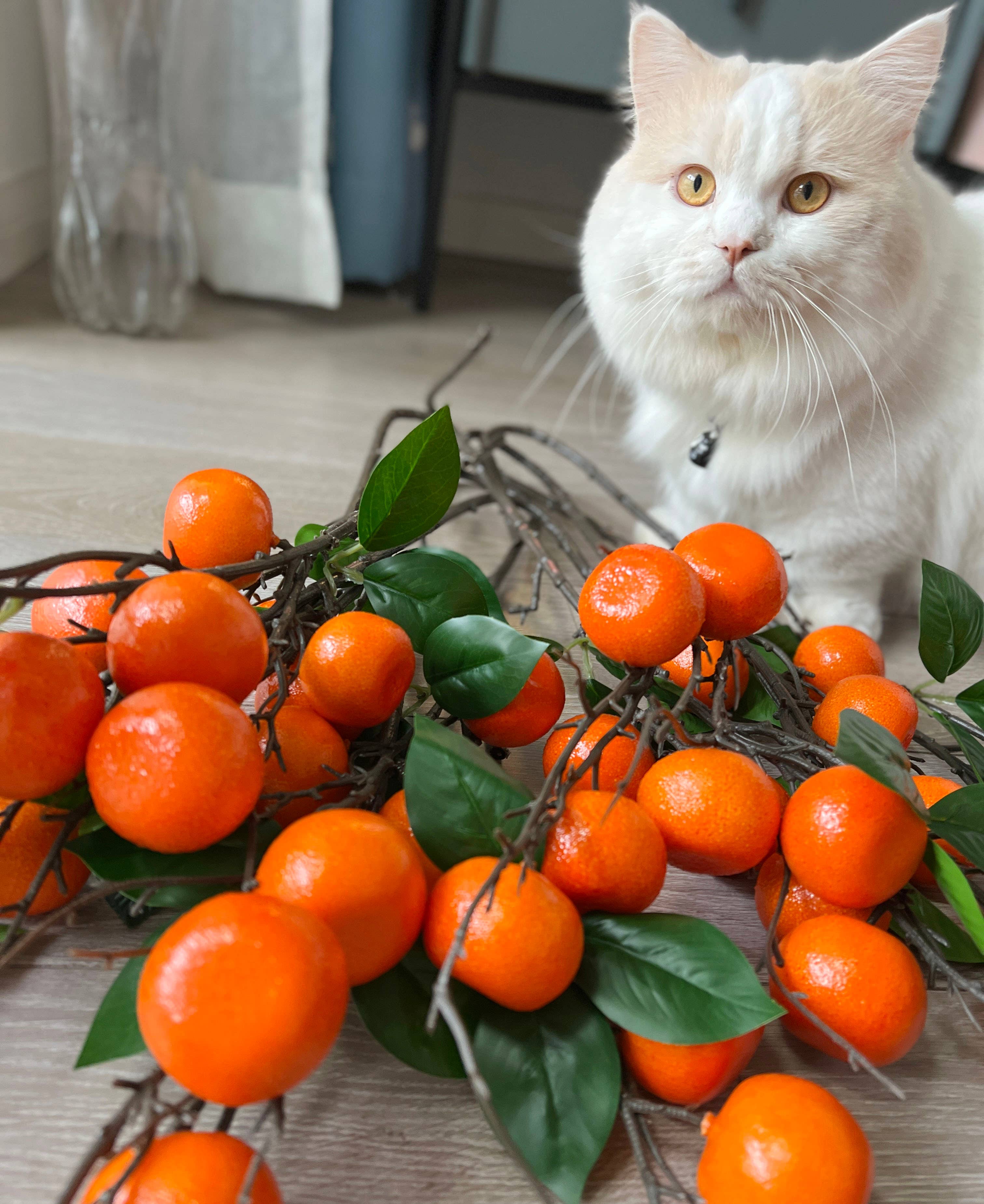 ACNITE(We cover U.S. import duties) - Wholesale Kunstbloemen - 28 „Kunstmatige sinaasappelfruittakken voor doe-het-zelf herfstdecoratie1