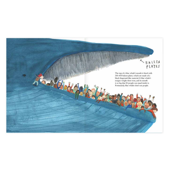 Enchanted Lion Books - Wholesale Book - Kids - The Blue Whale