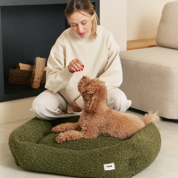 CAFIDE - Wholesale Pet Bed - Dog - Green Sheep Dog Bed, Snozy1