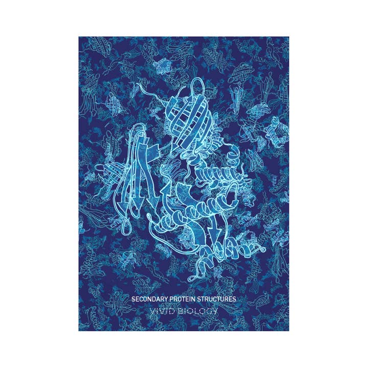 Protein Former - Plakat for engroshandel hos Vivid Biology