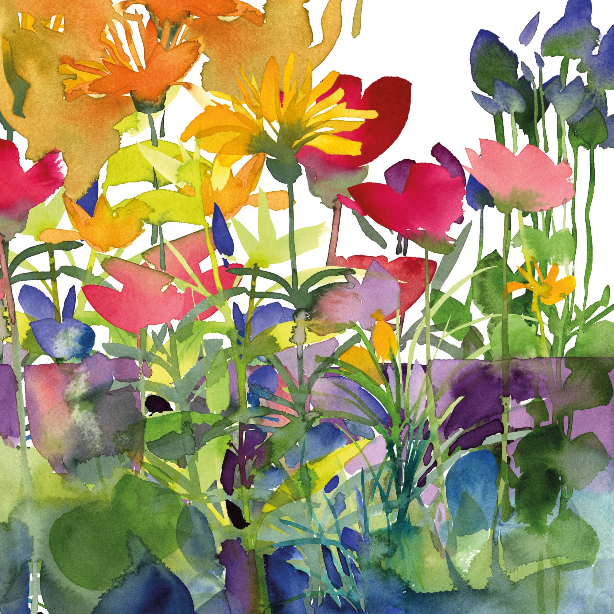 Diana Fegredo Studio - Wholesale Everyday Greeting Card - Lakeside Greetings Card1