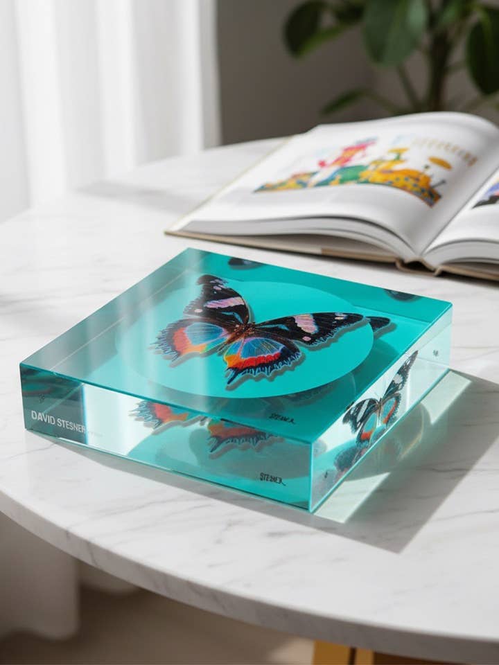 Aqua Vlucht Vlinder Acryl Sieradenschaal voor wholesale door David Stesner ArtHouse