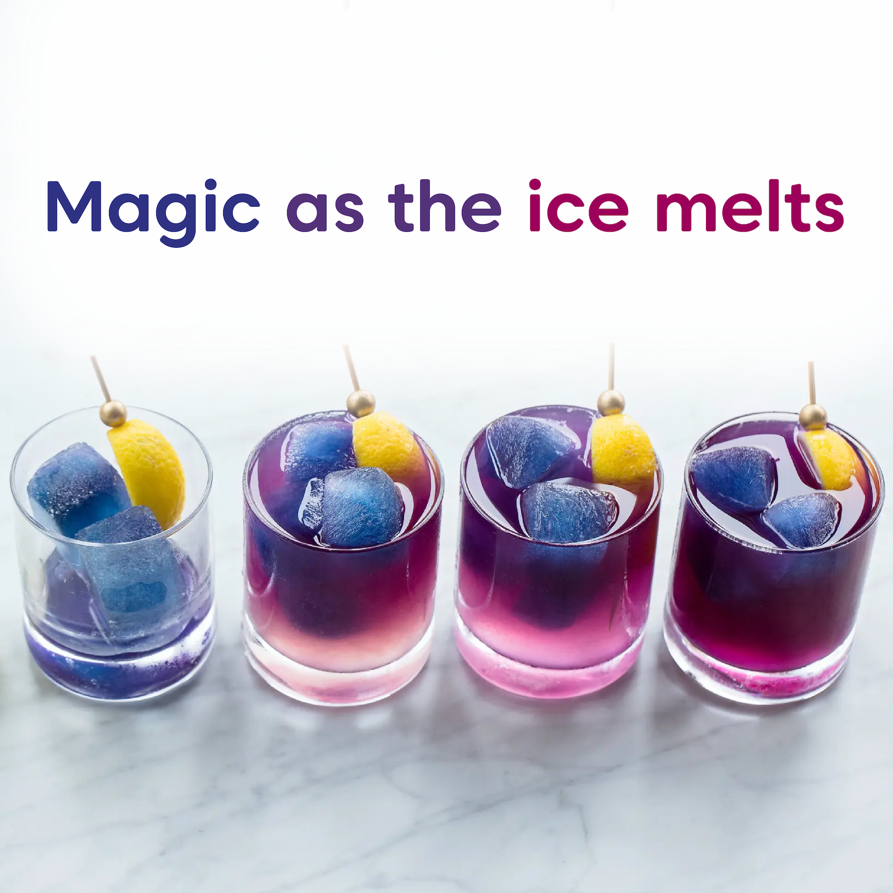 Wilderness Poets - Wholesale Protein/Superfood Powder - Blue Butterfly Pea Flower Powder (Blue Matcha)5