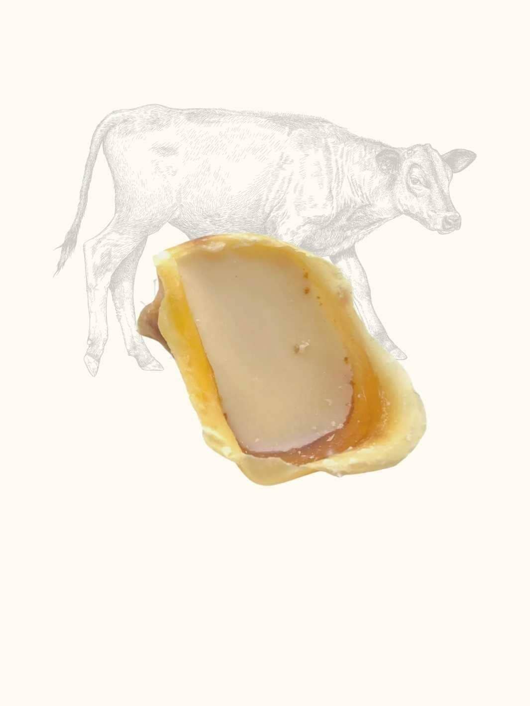 Truffe Délice - Wholesale Pet Treats - Dog - Garnished veal shank2