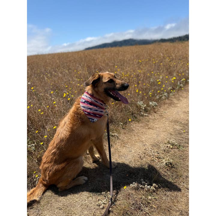 Sam & Nala | intentional style for pets & their people - Wholesale Pet Bandana - Dog - Esperanza Dog Bandana- Handwoven / Fair Trade9