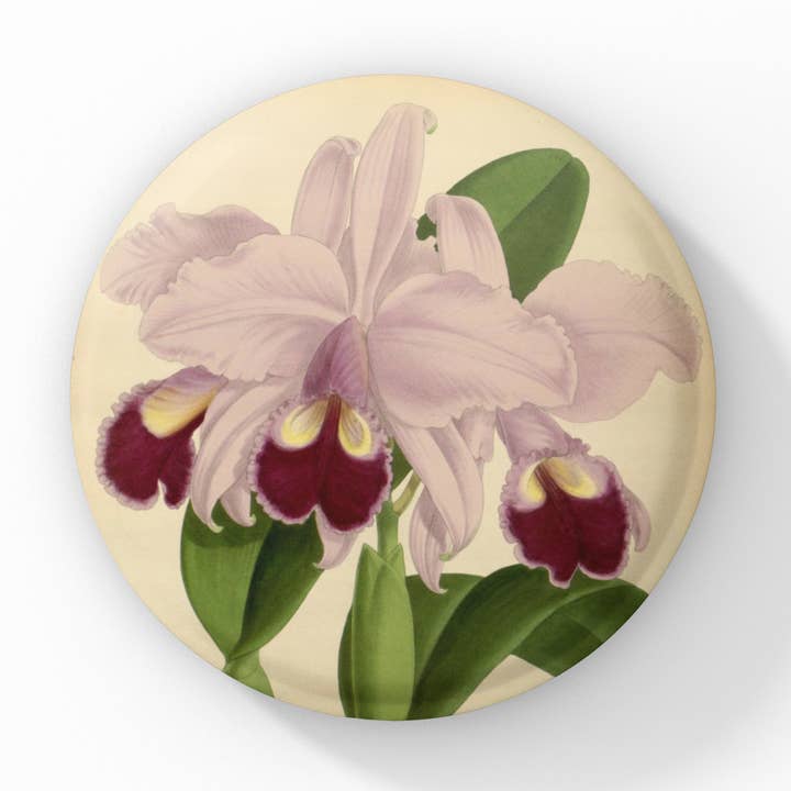 Orchidee Speld, Orchidee Sleutelhanger, Orchidee Magneet voor wholesale door NatureCuts