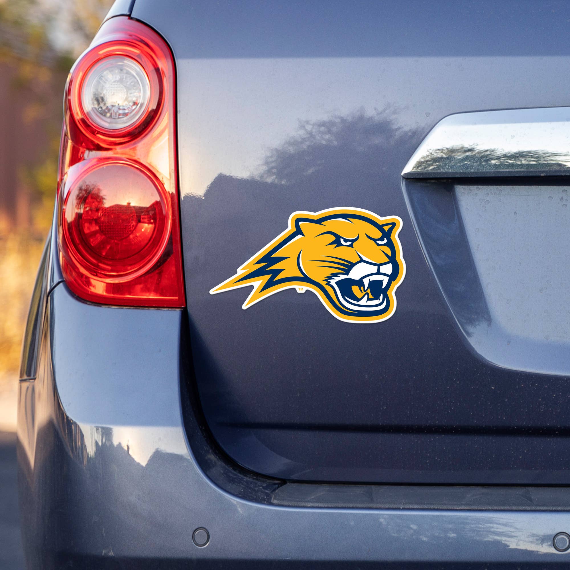 Rico Industries - Wholesale Car Decorative Charm - Unisex - NCAA  Averett Cougars  Medium Die Cut Decal1