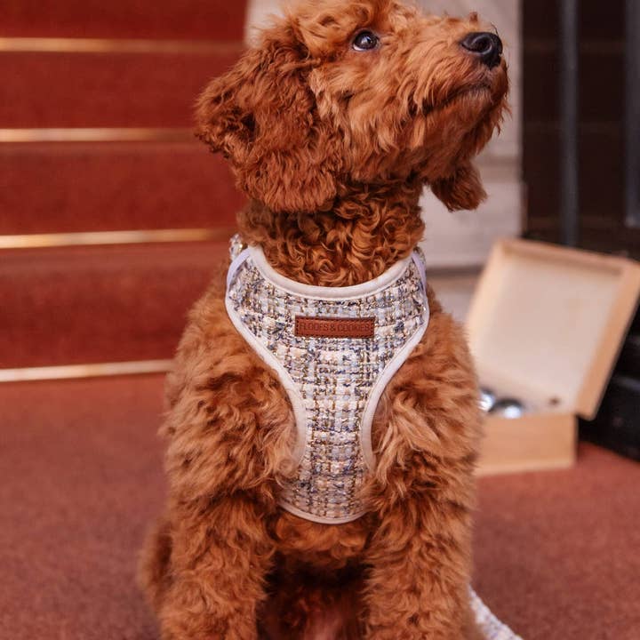 Floofs and Cookies - Wholesale Pet Harness - Dog - Noe harness3