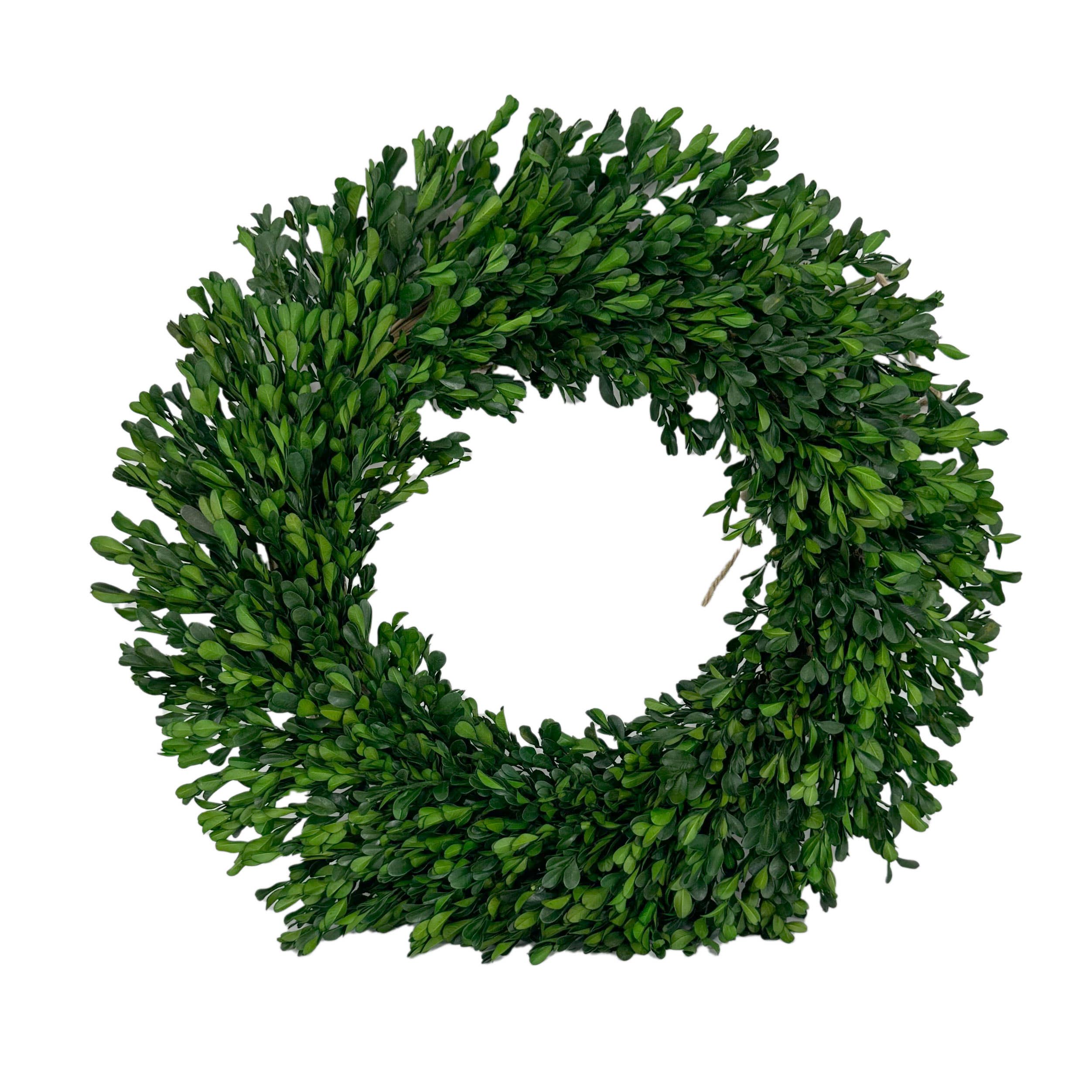 Galt International Company – wholesale Wreath – Naturally Preserved Green Boxwood Wreath 21" + Hanging Loop1
