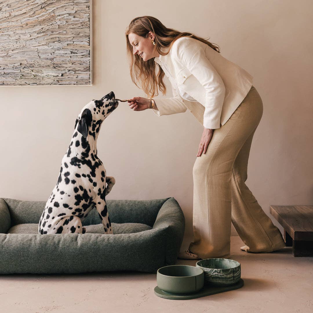 PINO – Engroshandel Kæledyrsskål – Hund – Klassisk skål54