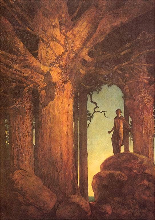 Found Image Press - Wholesale Stationery/Notecard Set - Greeting Card AT-375 Jason and the Talking Oak0