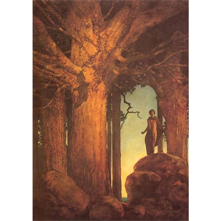 Found Image Press - Wholesale Stationery/Notecard Set - Greeting Card AT-375 Jason and the Talking Oak