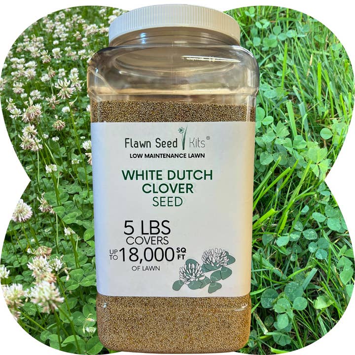 Flawn Seed Kits - Wholesale Plant Seeds - Dutch White Clover Seed6
