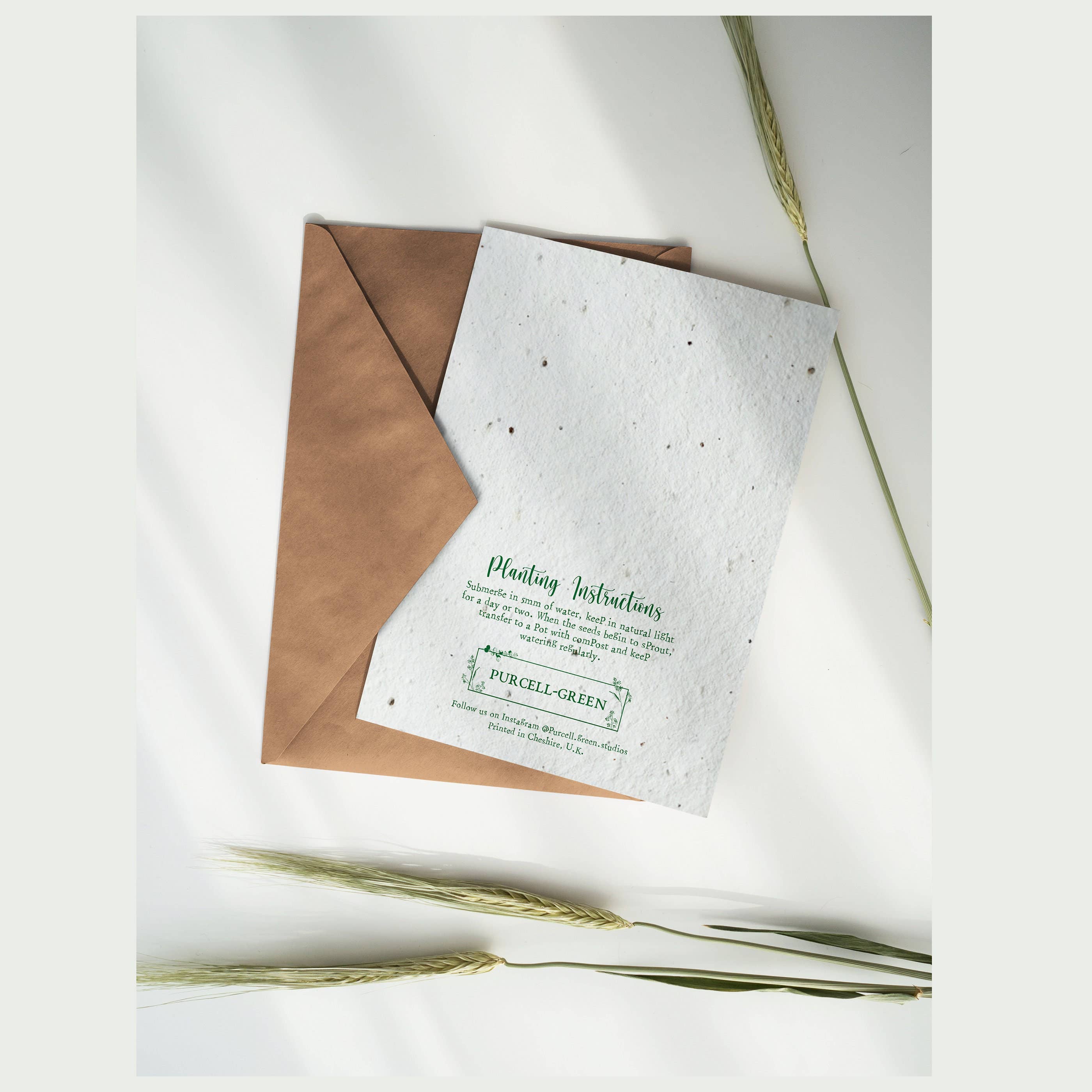 Purcell-Green Studios – wholesale Birthday card – Plantable Party Animal Birthday Card1