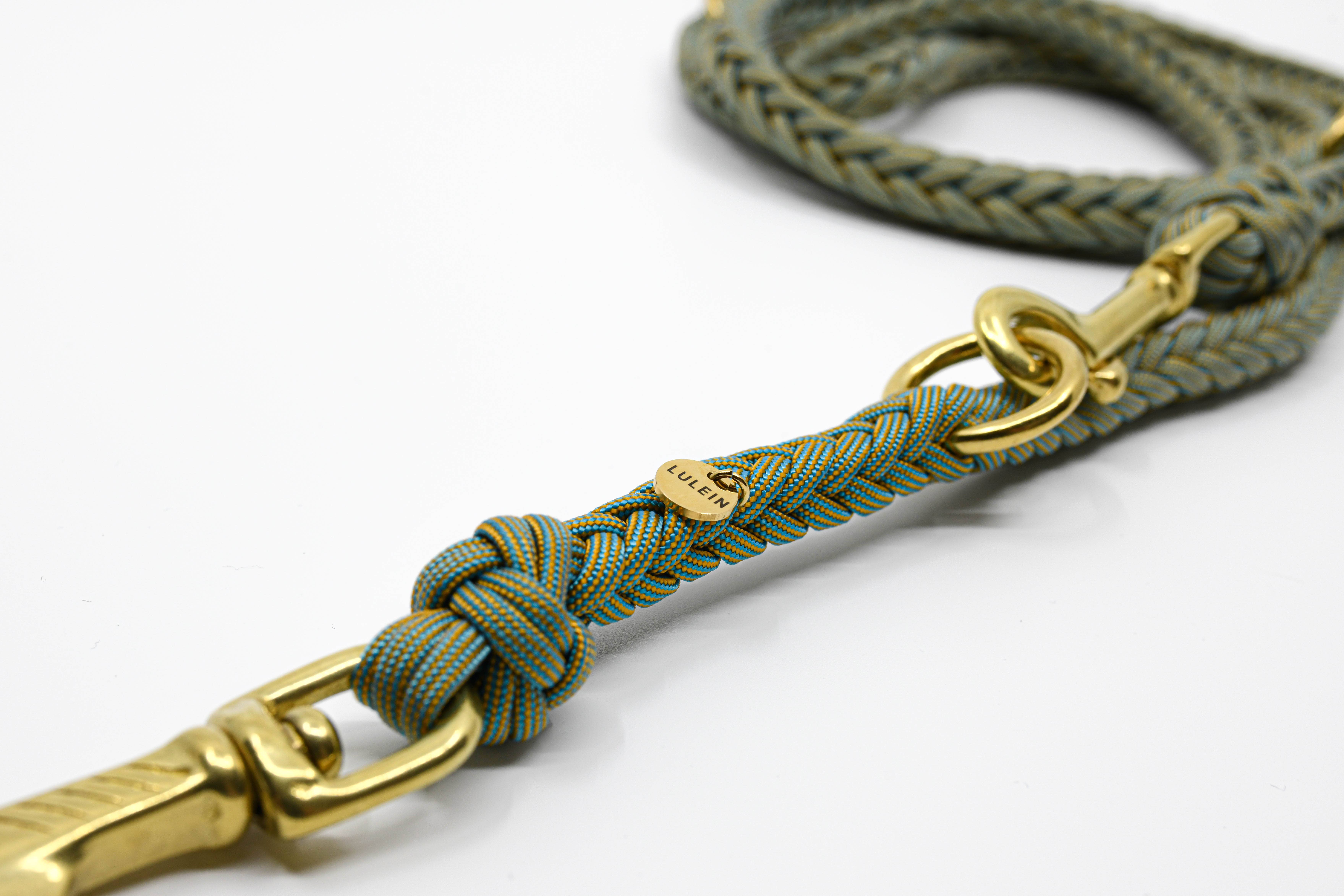 Lulein - Wholesale Pet Leash - Dog - Fishbone Salamander6