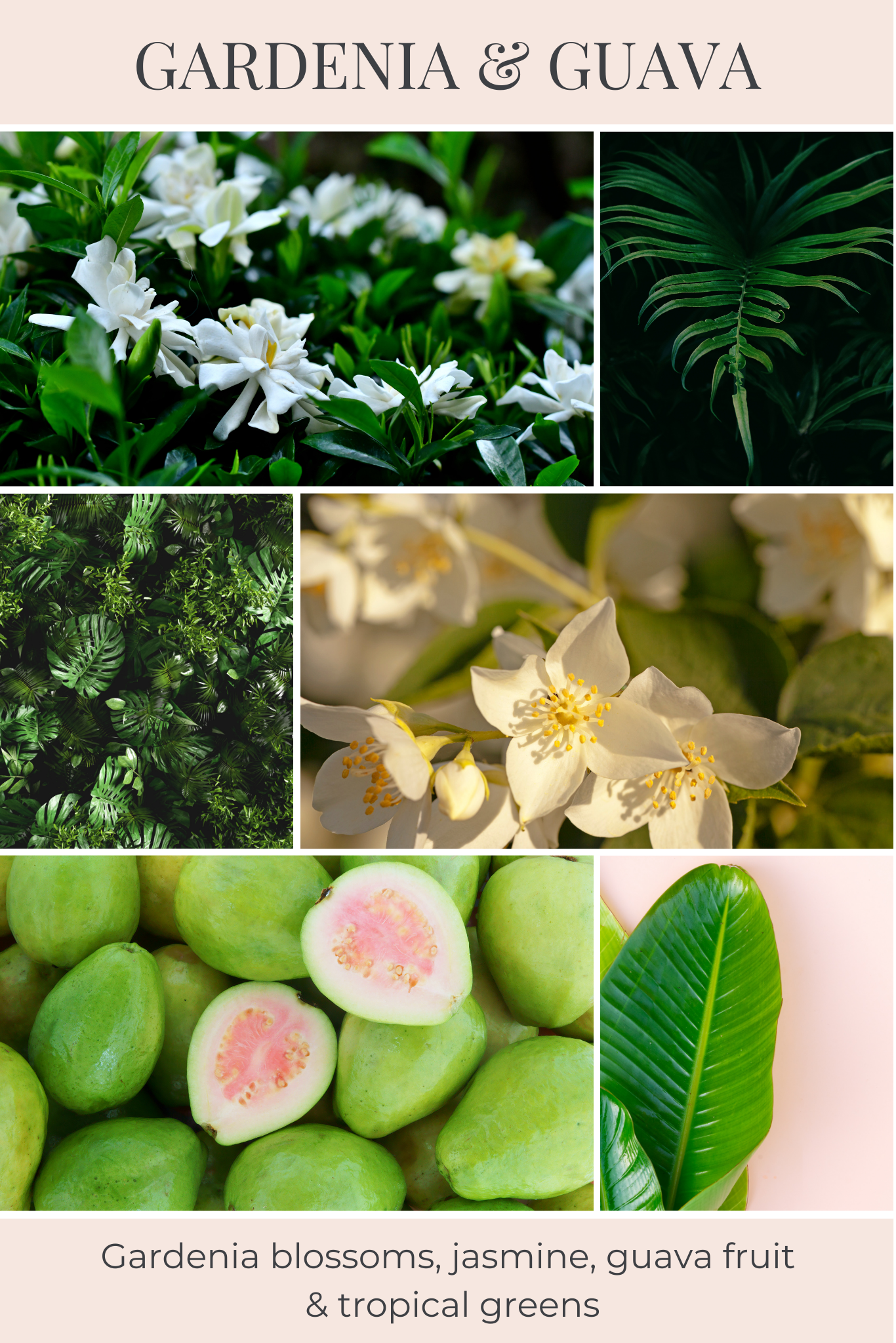 Eco Candle Company - Wholesale Geurstokjes - diffusor voor rood GARDENIA & GUAVA1