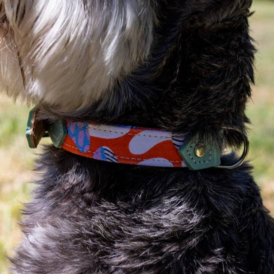 Magical Mushrooms Dog Collar for wholesale by Hiro + Wolf