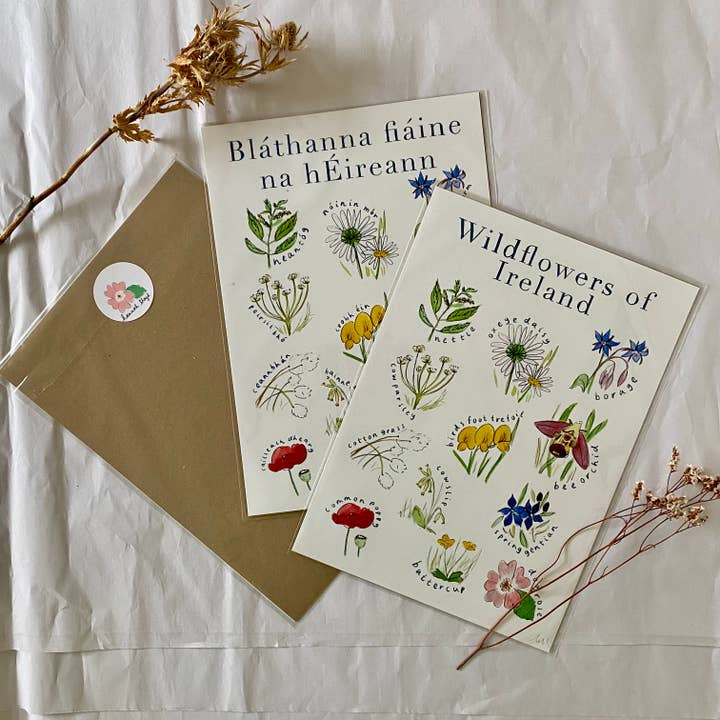A3 Irish print – Wildflowers of Ireland – Bláthanna fiáine n for wholesale by Hannah Lloyd Art
