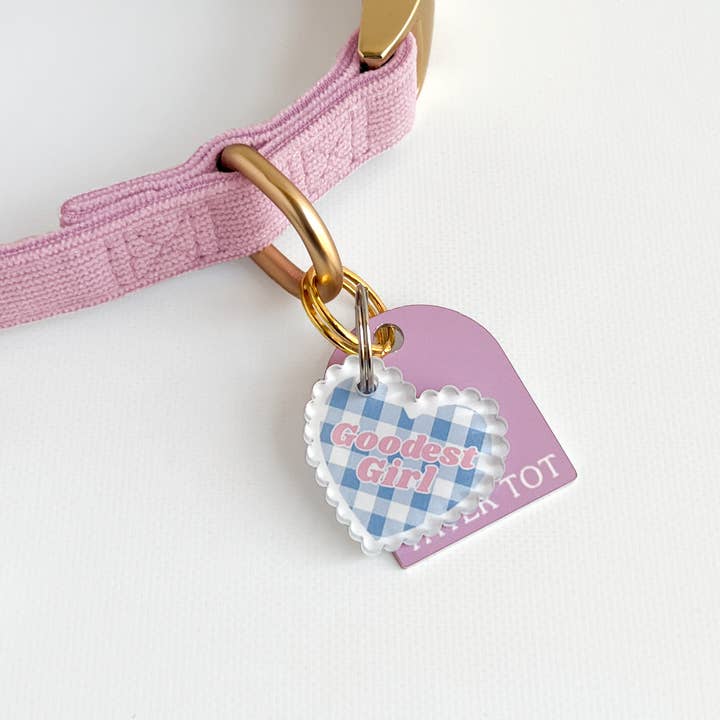 Beste Meisje Huisdier Halsband Bedel – Gekarteld Hart voor wholesale door Silly Goose Pets