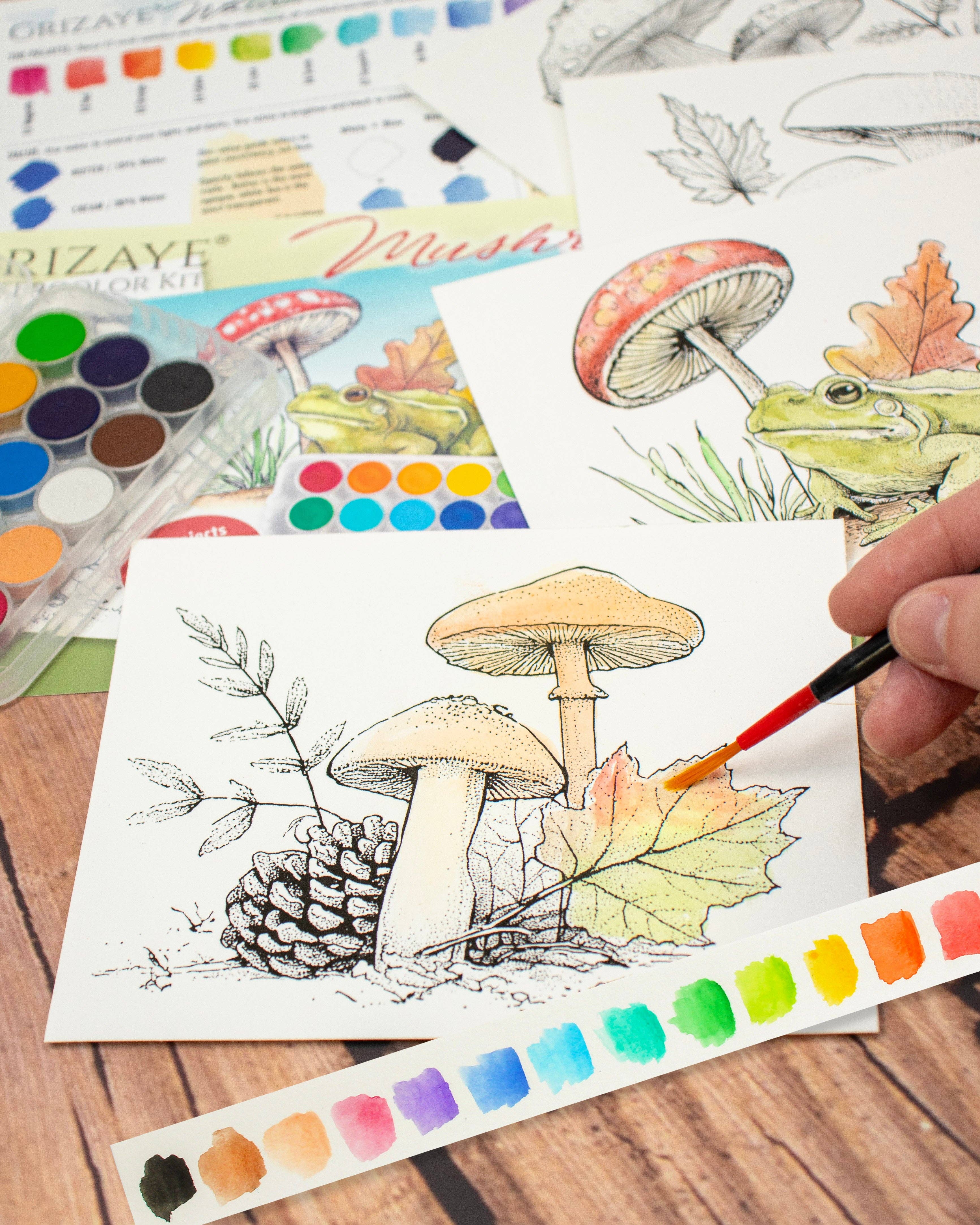 Grizaye - Wholesale DIY Craft Kit - Watercolor Kit: Mushrooms1