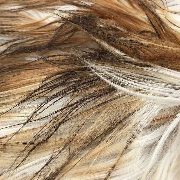 Long Haired Mountain Goat Coyote for wholesale by Chesterfield Leather