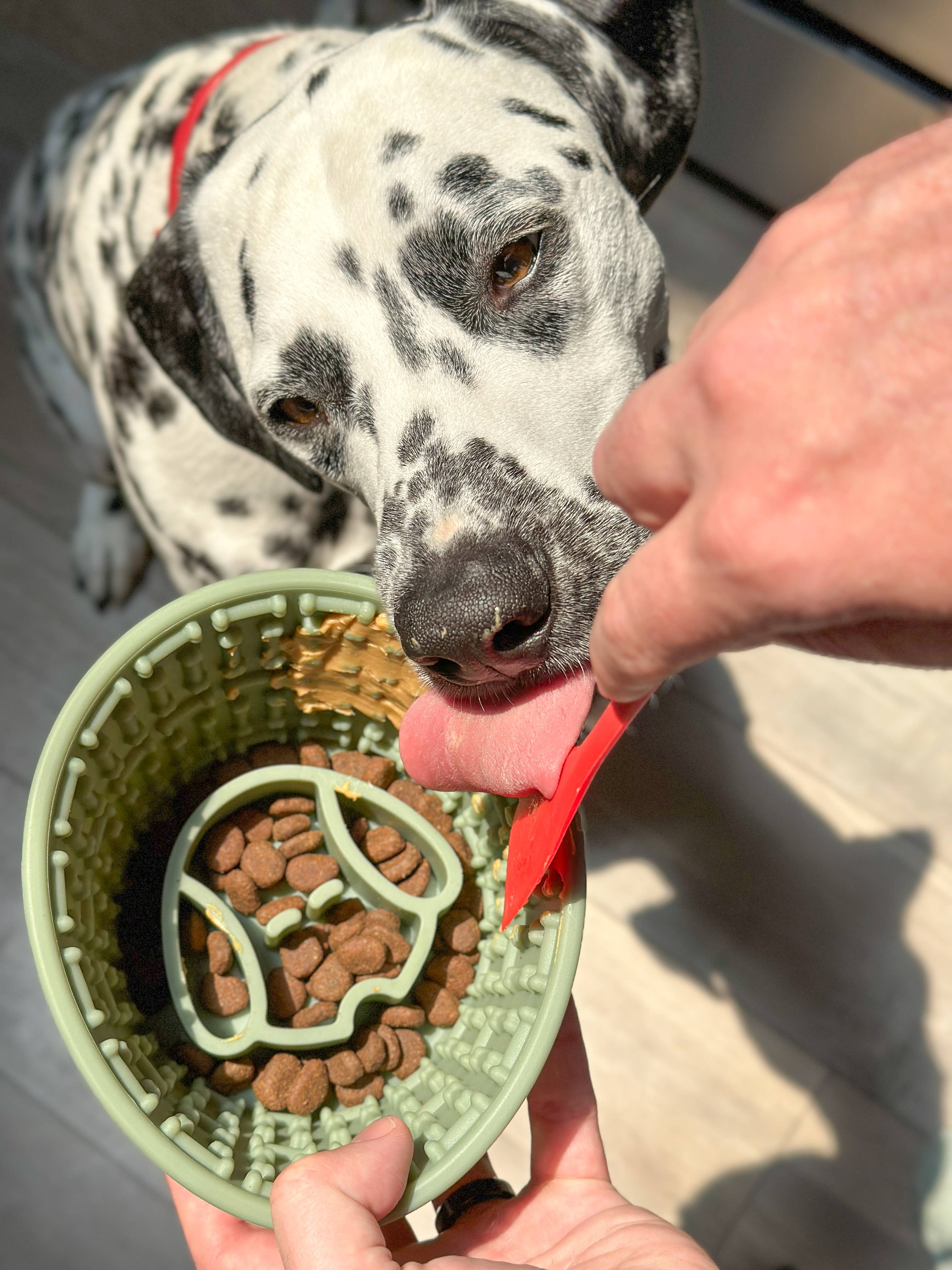 Spot N Knot – Großhandel Futternapf – Katze/Hund – Napf mit langsamer Fütterung für Hunde8