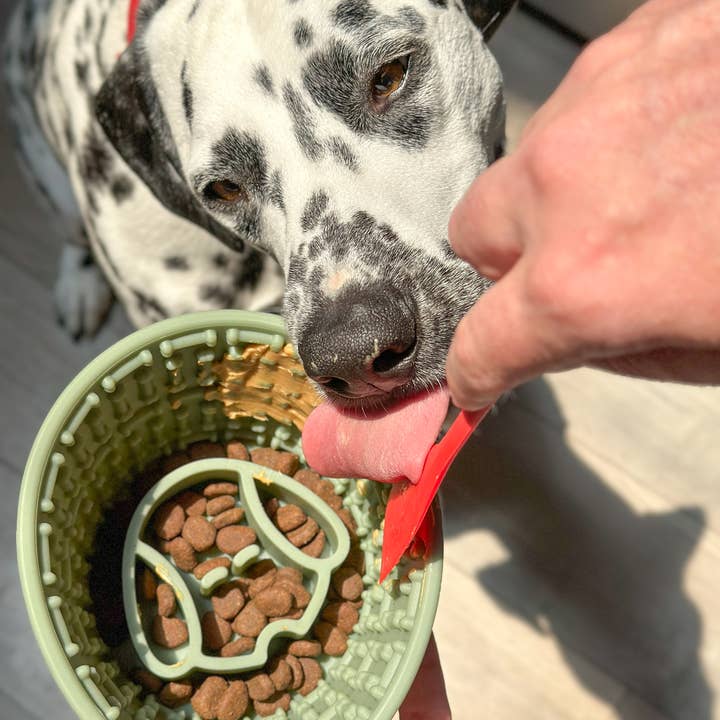 Spot N Knot – Großhandel Futternapf – Katze/Hund – Napf mit langsamer Fütterung für Hunde8