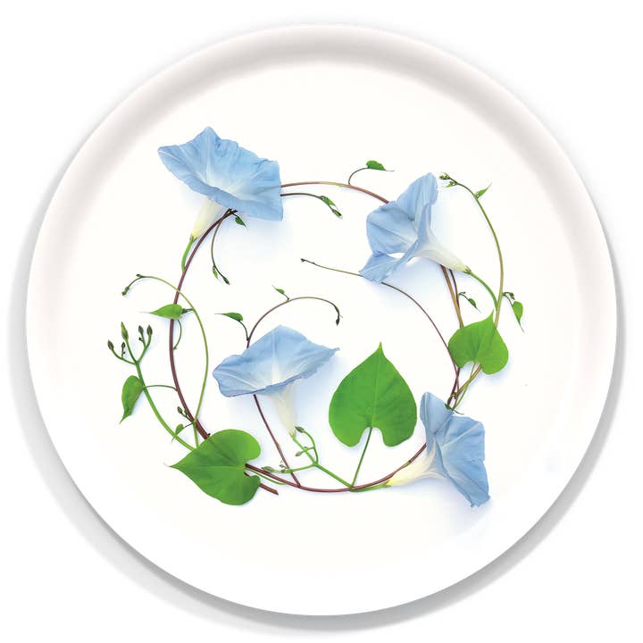 Trays4Us - Wholesale Decorative Tray - Garden Floral Trays by Bottle Branch Botanic Art