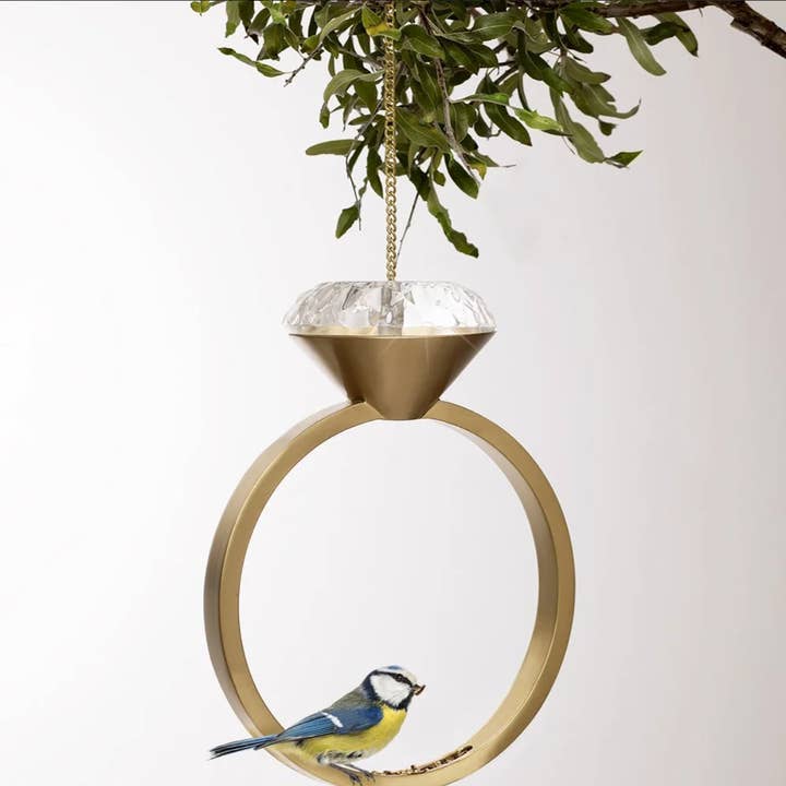 Comedero Diamond Bird y otras tendencias de Resultados para alpiste para canarios al por mayor. Devoluciones gratuitas y condiciones de pago a 60 días en Faire en Faire.