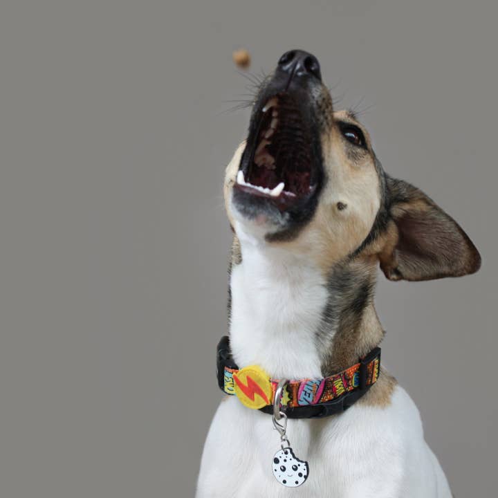 Cooka's Cookies - Wholesale Pet Treats - Dog - Chicken Crumble - Guilt-free treats for dogs & cats6