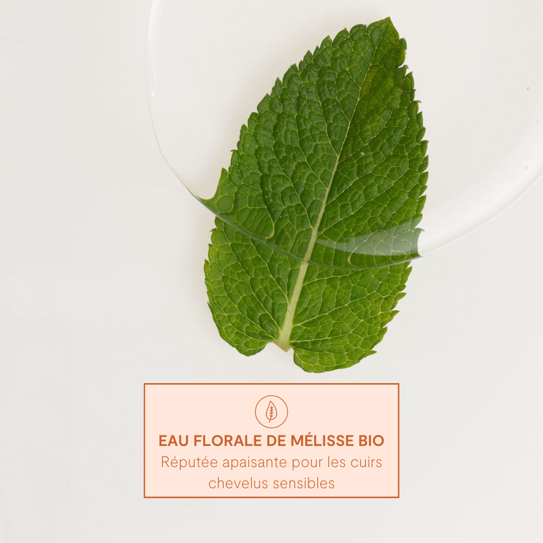 LAO - Wholesale Hair Shampoo - Nourishing shampoo 8