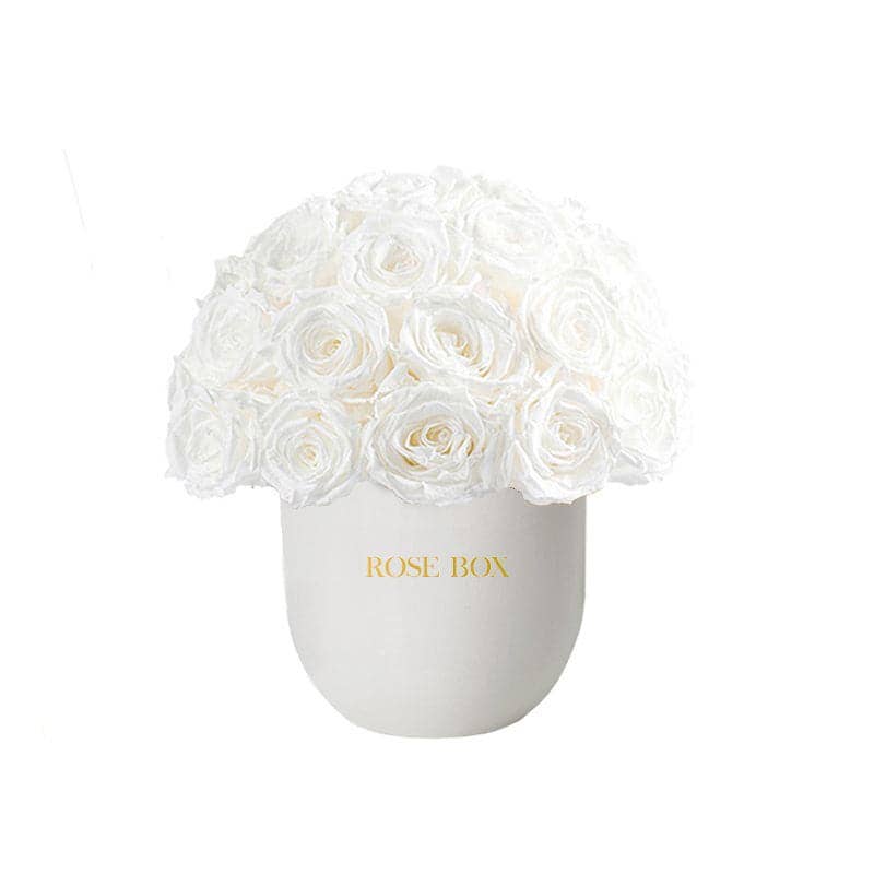 Rose Box NYC - Vente Fleur séchée/pressée - Demi-boule classique en céramique avec roses blanches pures