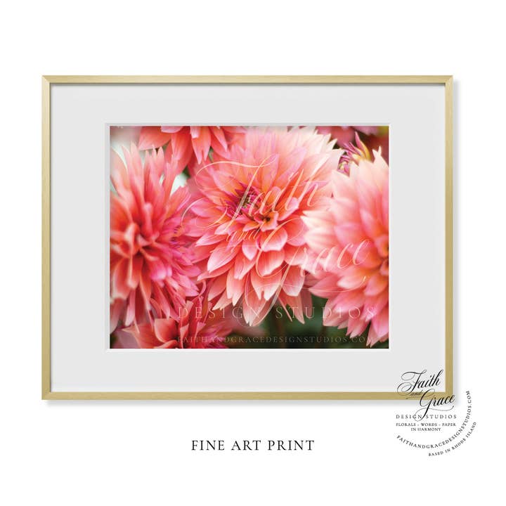 Dans l'impression florale d'art en fine des dahlias roses pour la vente par Faith and Grace Design Studios