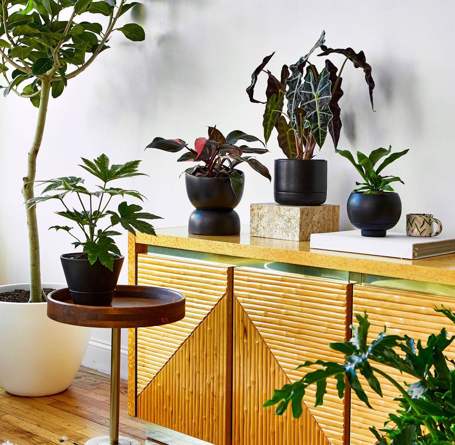 Greenery Unlimited - Wholesale Plant Pot - Varick 20 Ceramic Self Watering Pot5