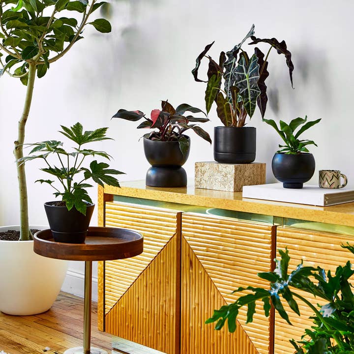 Greenery Unlimited - Wholesale Plant Pot - Varick 20 Ceramic Self Watering Pot5