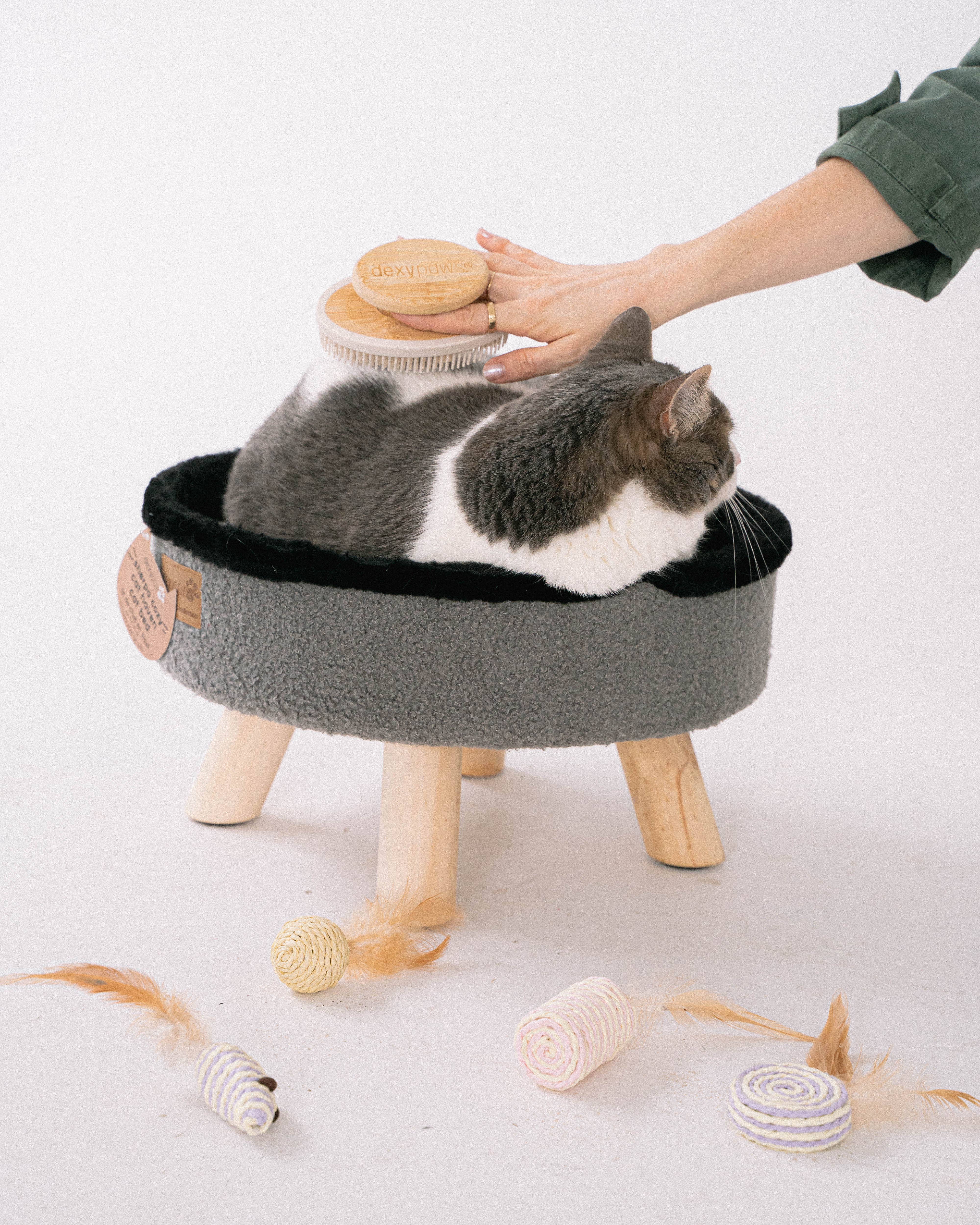 dexypaws - Wholesale Pet Brush - Cat/Dog - Soft Silicone Bristle Brush for dogs & cats1