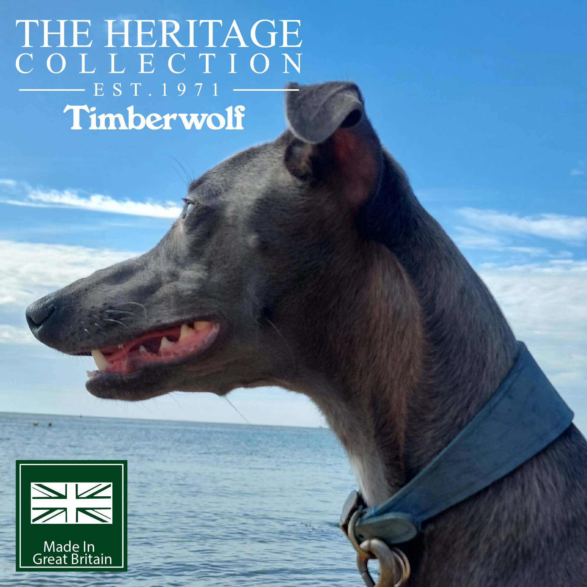 Ancol Pet Products Ltd – wholesale Pet collar – Dog – Timberwolf Leather Hound  Collar ( Size 30-34cm)15