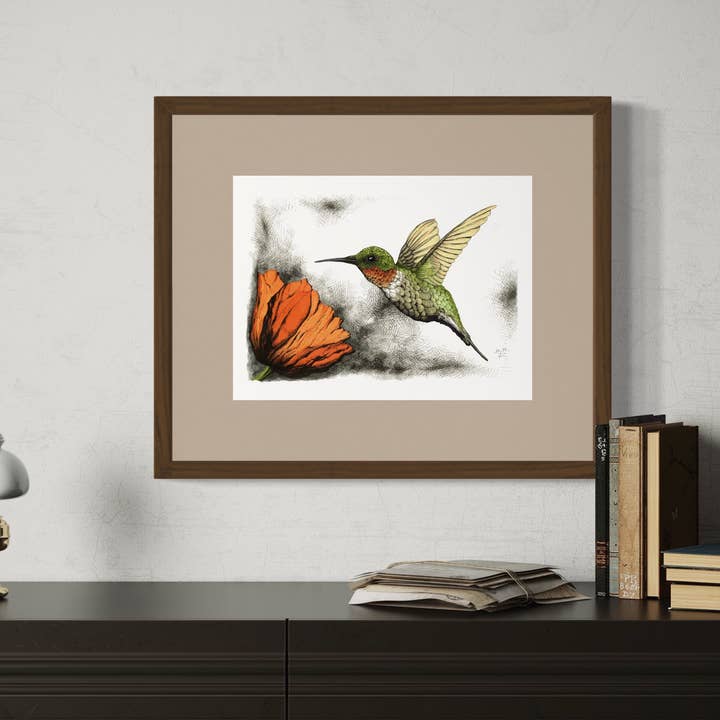 Tony Rubsam Illustrations – wholesale Konsttryck – Rubinhalsad kolibri & vallmopenna och bläckillustration