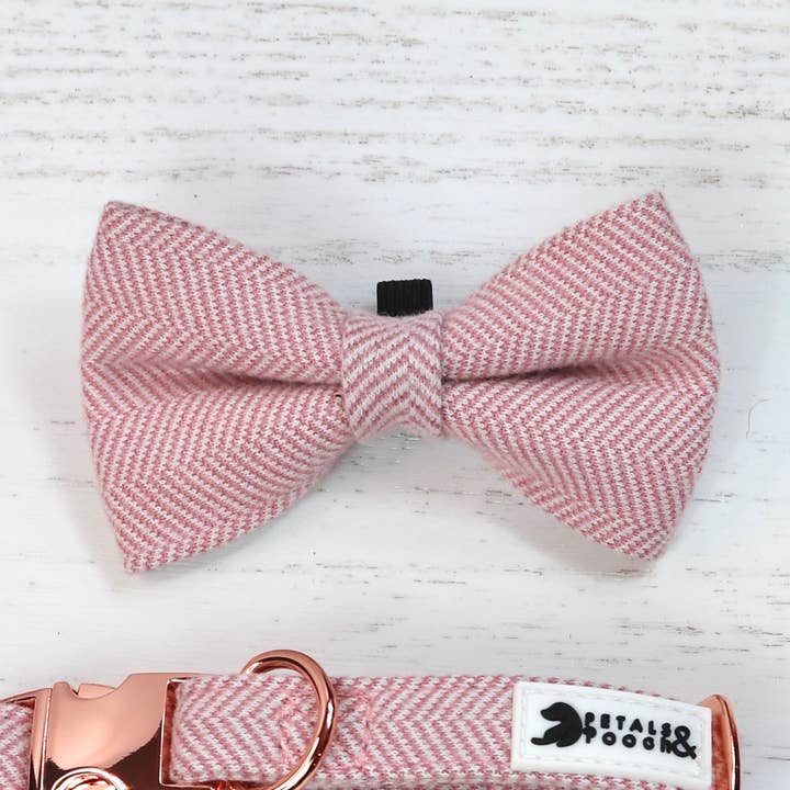 Tweedie in Pink Bow Tie for wholesale by Petals & Pooch
