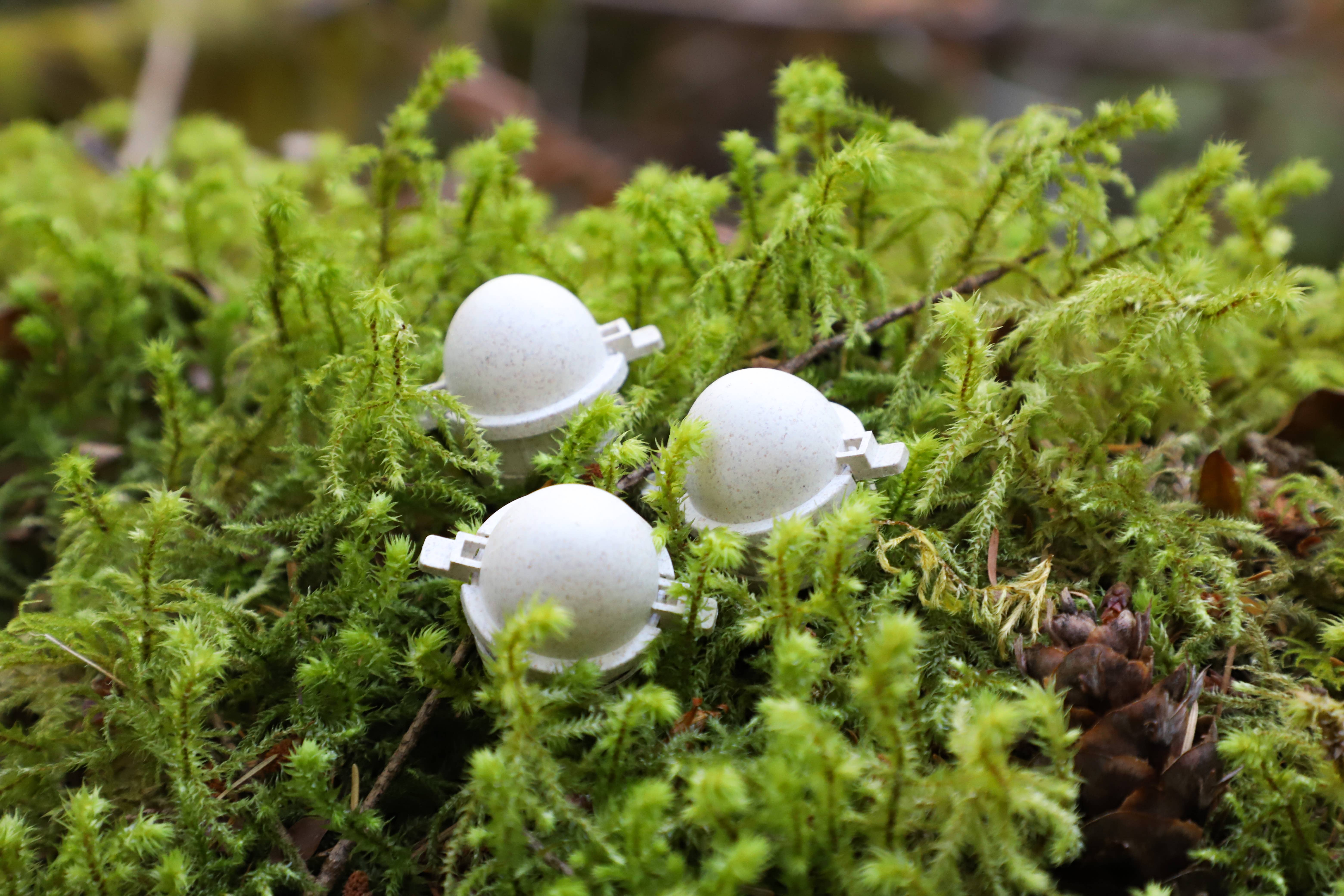 Rebels Refinery - Wholesale Lip Balm - Biodegradable Replacement Refill Pod BLACK CHERRY 100% NAT2