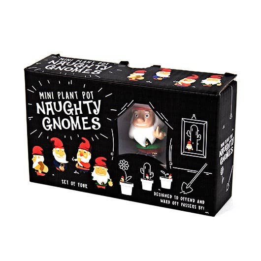 Gift Republic - Wholesale Plant Pot - Naughty Gnomes Planters1