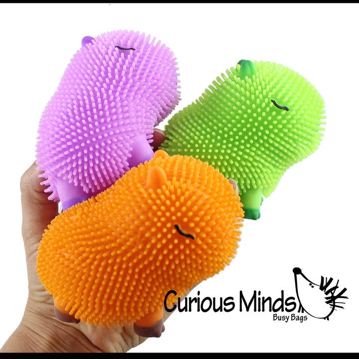 1 Capibara Puffer Air gevulde Squeeze Stressballen - Large R voor wholesale door Curious Minds Toys