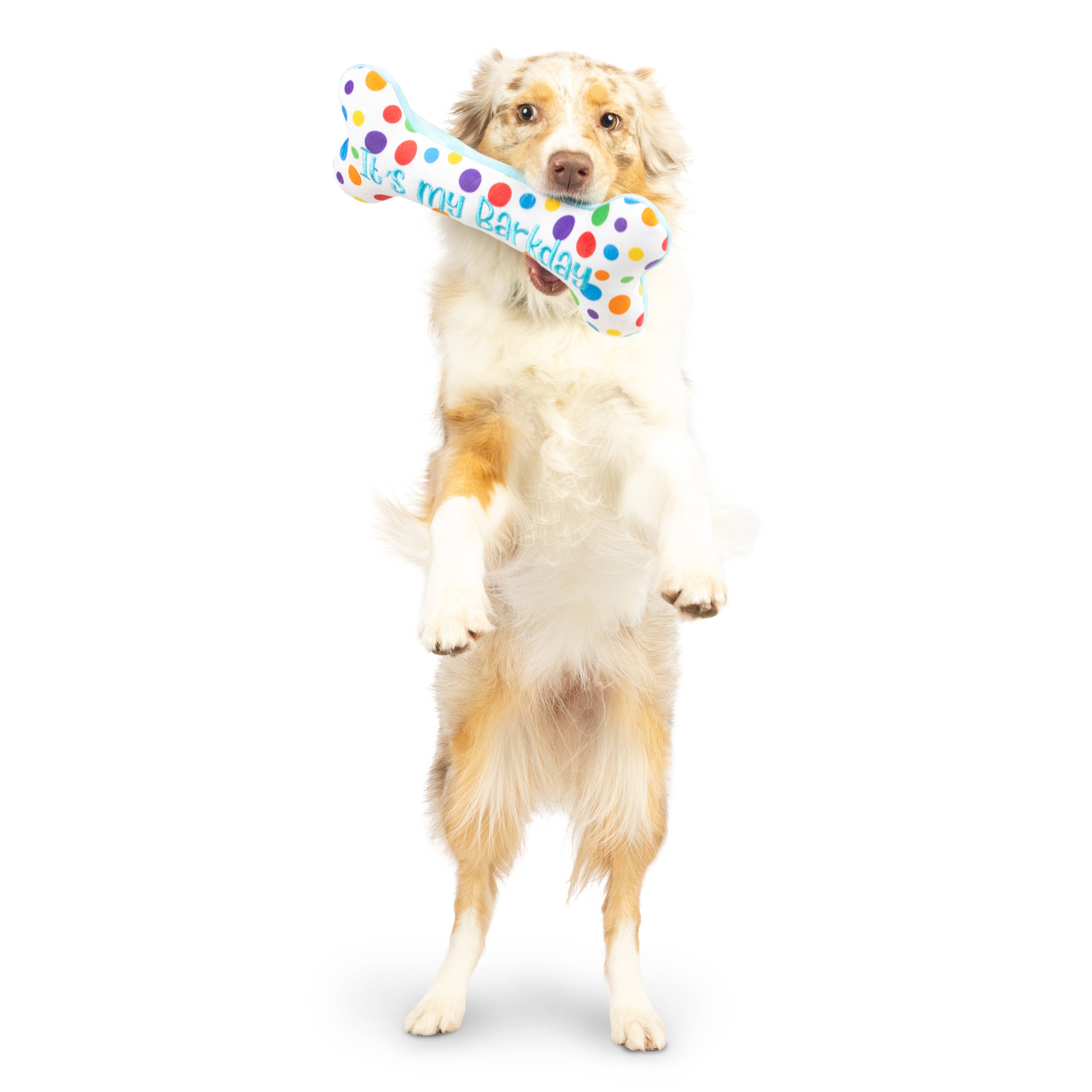 Huxley & Kent - Wholesale Pet Plush Toy - Dog - It's My Barkday Bone Dog Toy (Double Sided)8