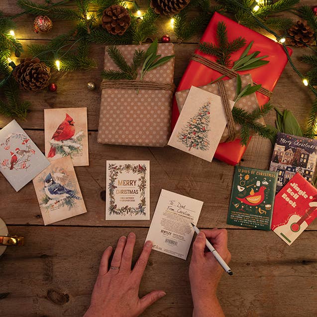 Bentley Seed Co. - Vente Étiquette cadeau - Étiquette cadeau de couronne de Noël avec oiseaux - Oiseau & Papillon Fleur sauvage8