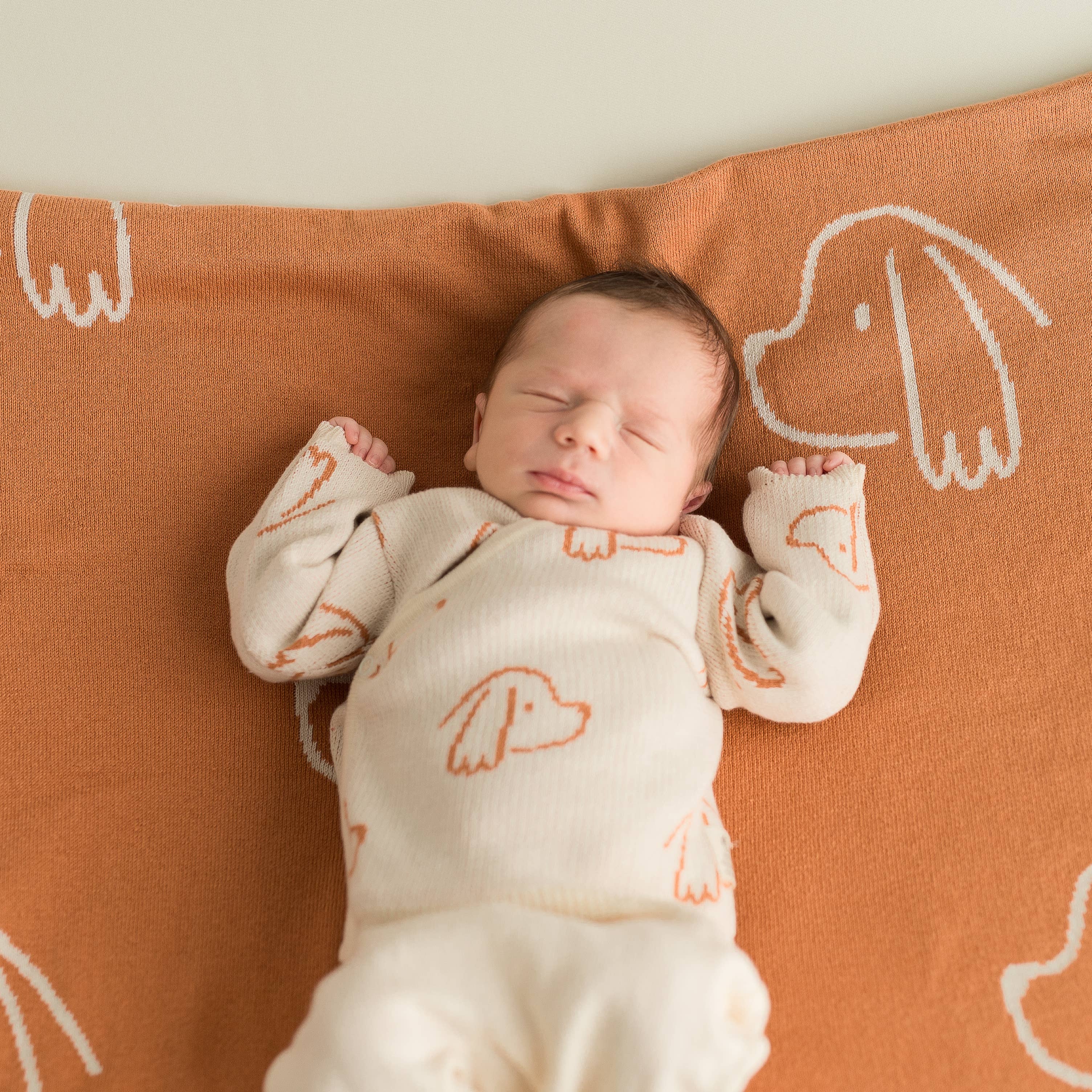 micu micu - Wholesale Clothing Set - Baby - Newborn Pack dogs ecru4