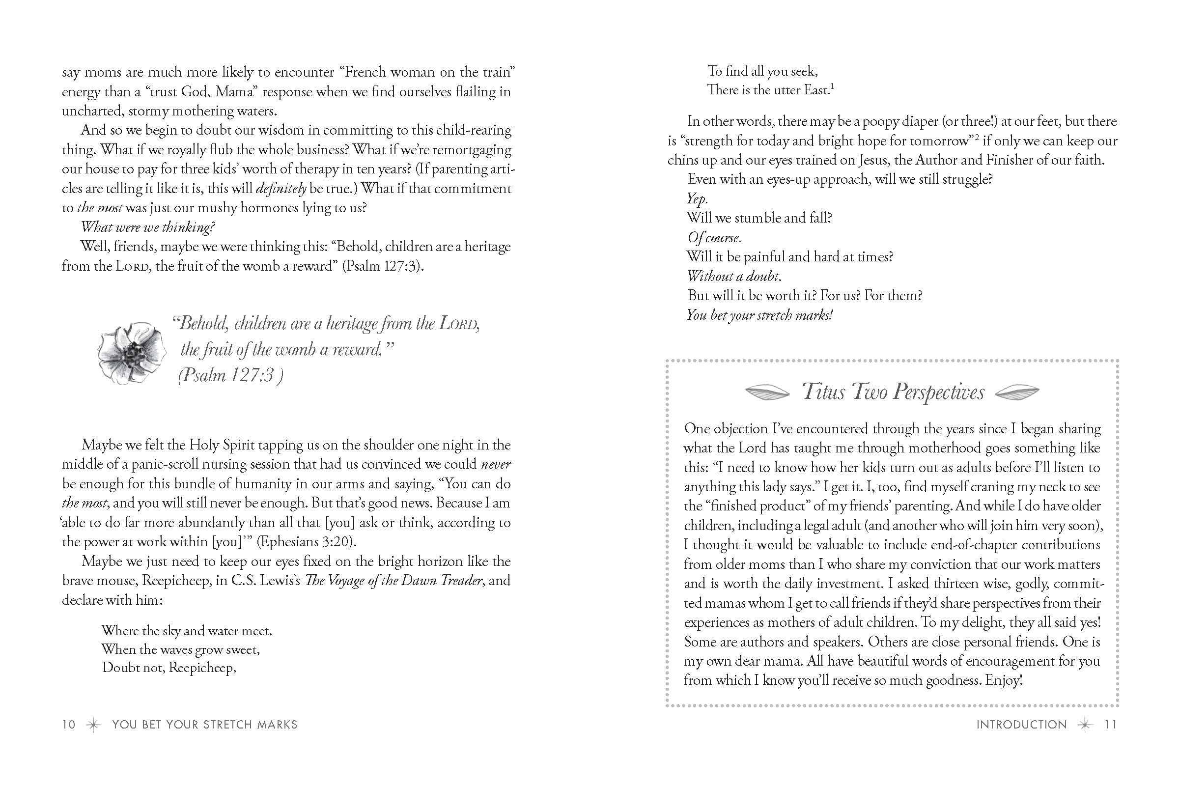 Harvest House Publishers Gift & Specialty Books - Wholesale Family & Relationships - You Bet Your Stretch Marks1