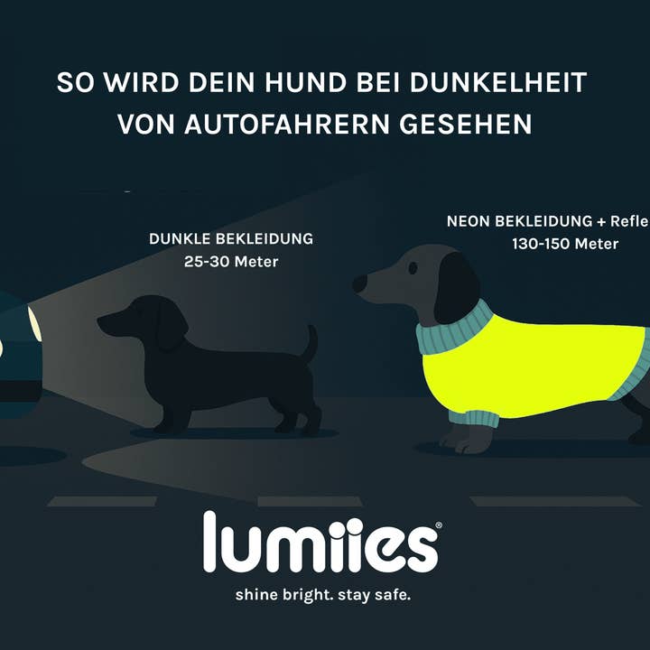 Neon Tangerine Tiger THE GLOW RAINCOAT regular-fit – Vattentät hundjacka i neonorange för wholesale på Faire7