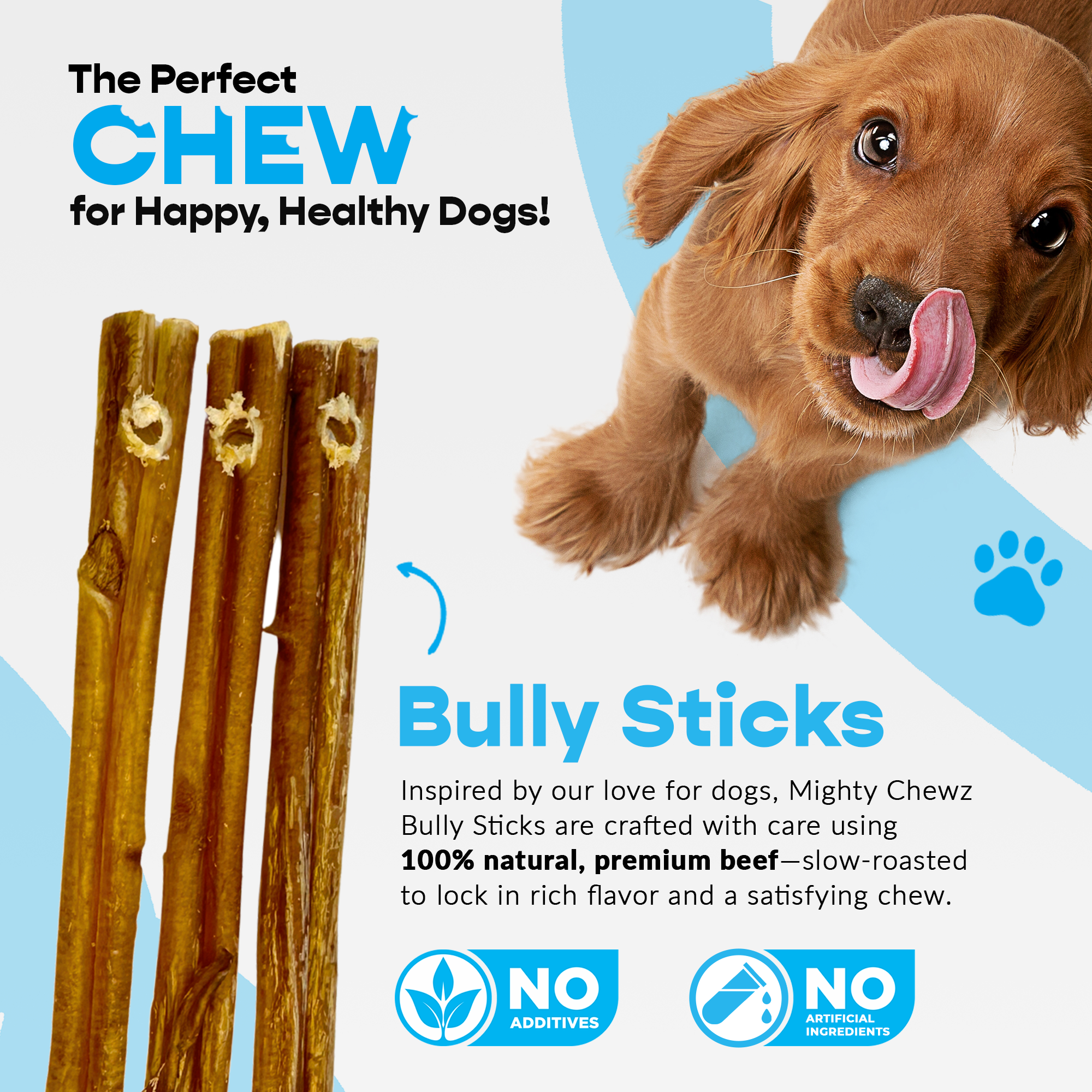 Mighty Chewz - Wholesale Pet Treats - Dog - 12" Thick Bully Sticks - Refill Pack1