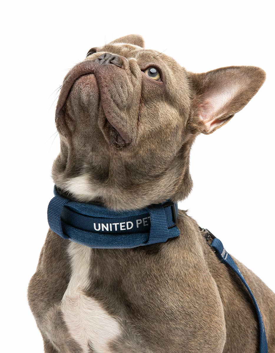 United Pets - Wholesale Pet Leash - Dog - Imbracatura imbottita morbida per cani in jeans6