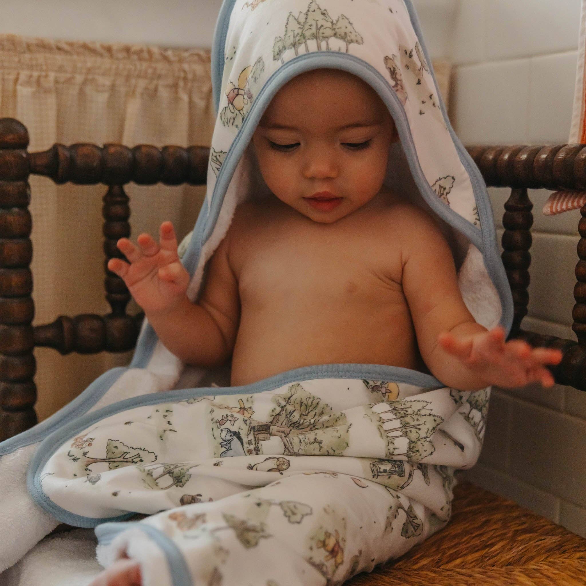 Copper Pearl - Wholesale Hooded Towel - Kids & Baby - Premium Baby Knit Hooded Towel - Hundred Acre Wood6